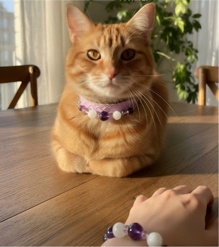 Customer photo of Pumpkin wearing the lavender collar at home.